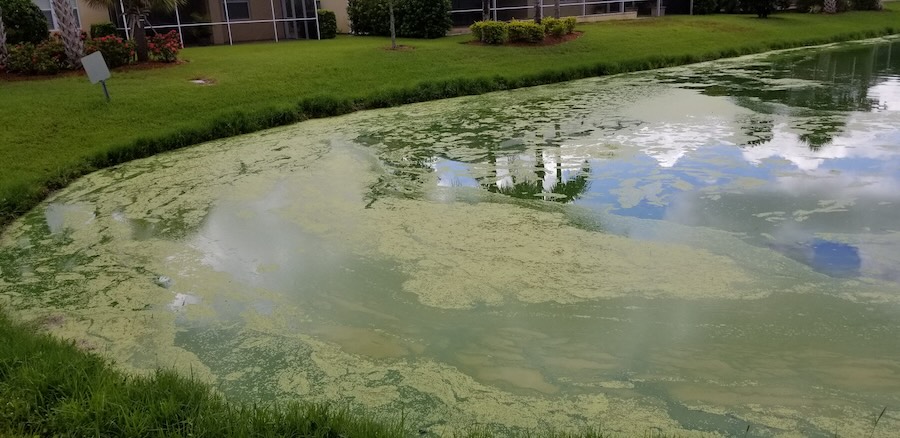 irrigation pipes and lake