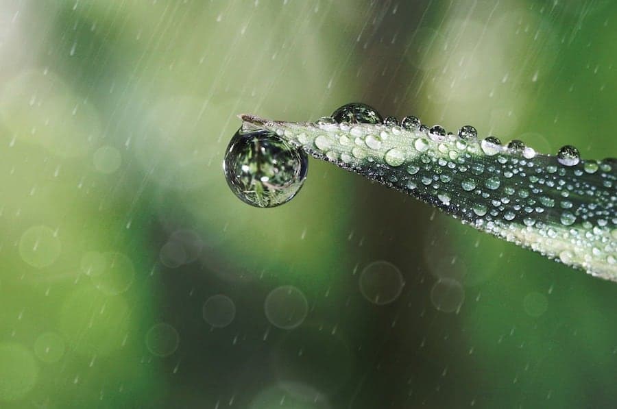 raindrop